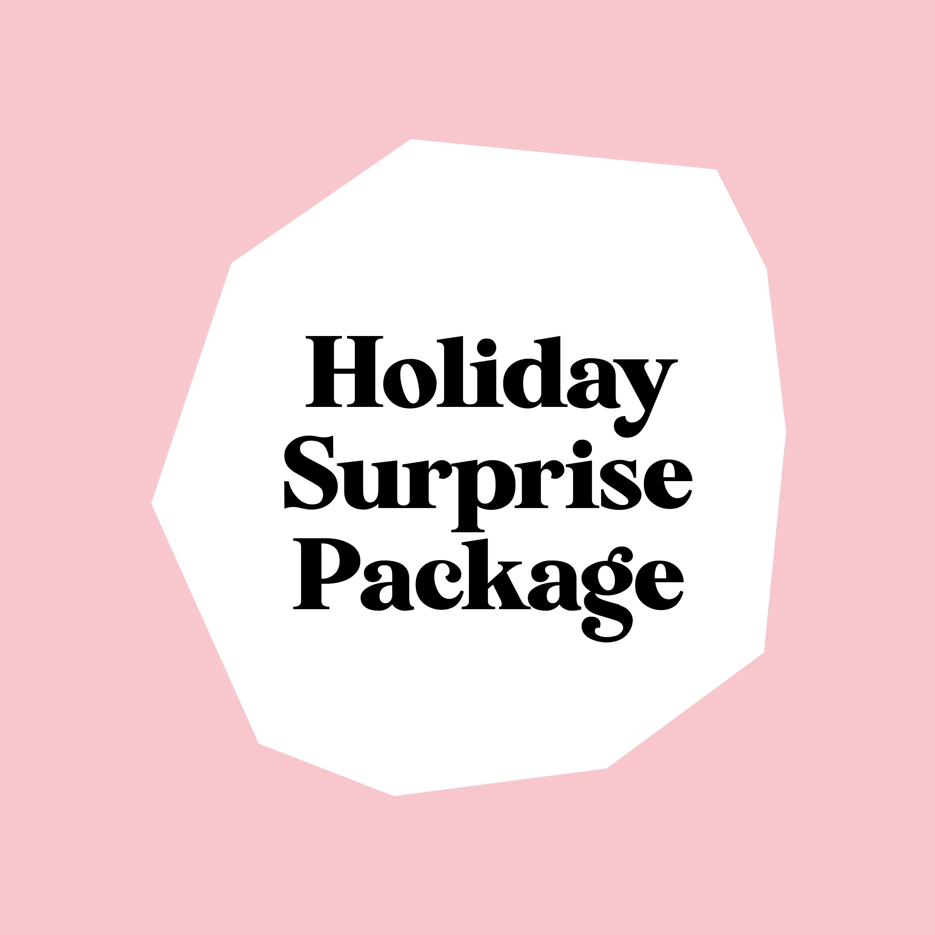 Holiday Surprise Package