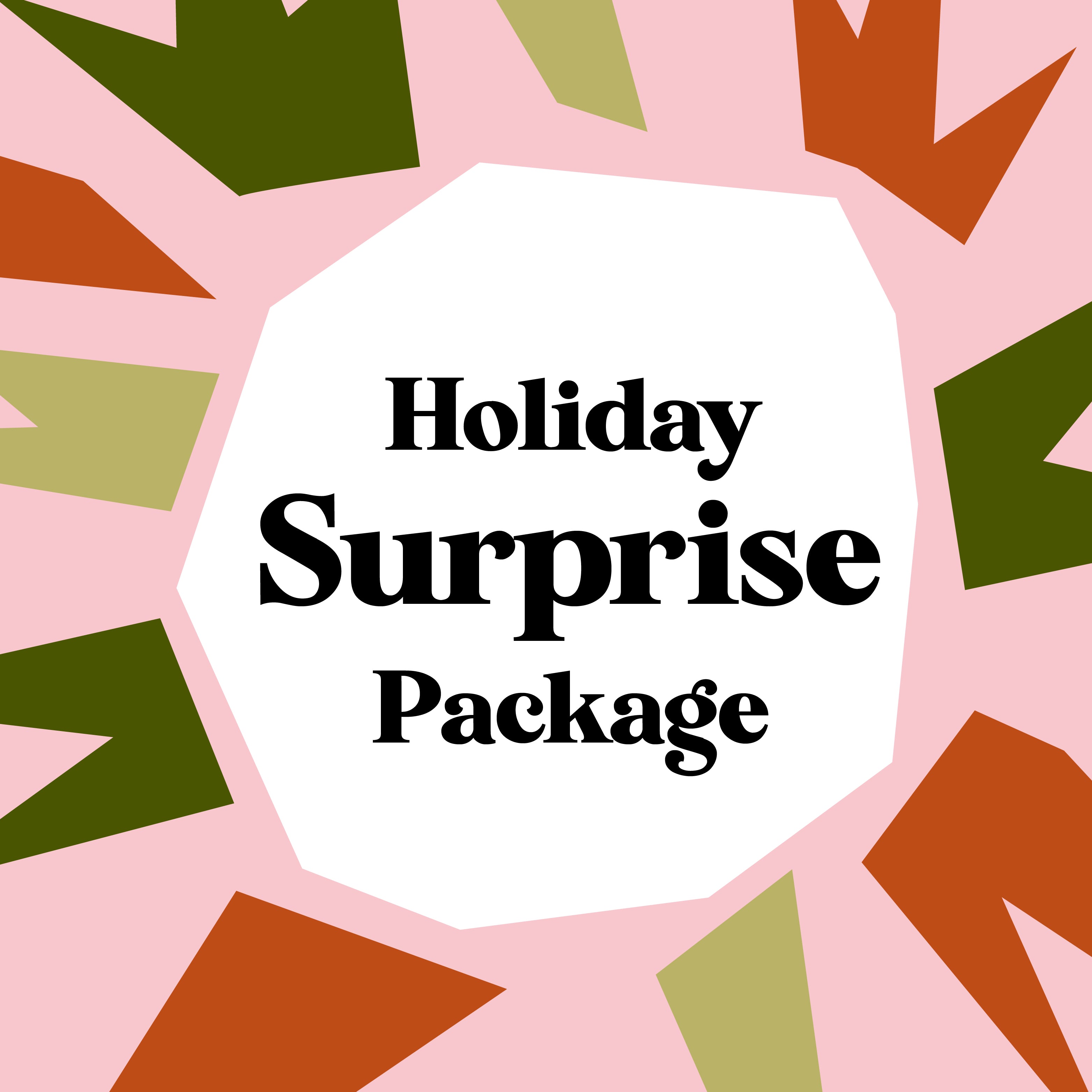 Holiday Surprise Package